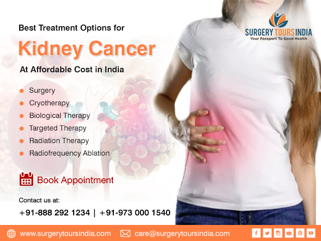  Kidney Cancer Treatment Options in India